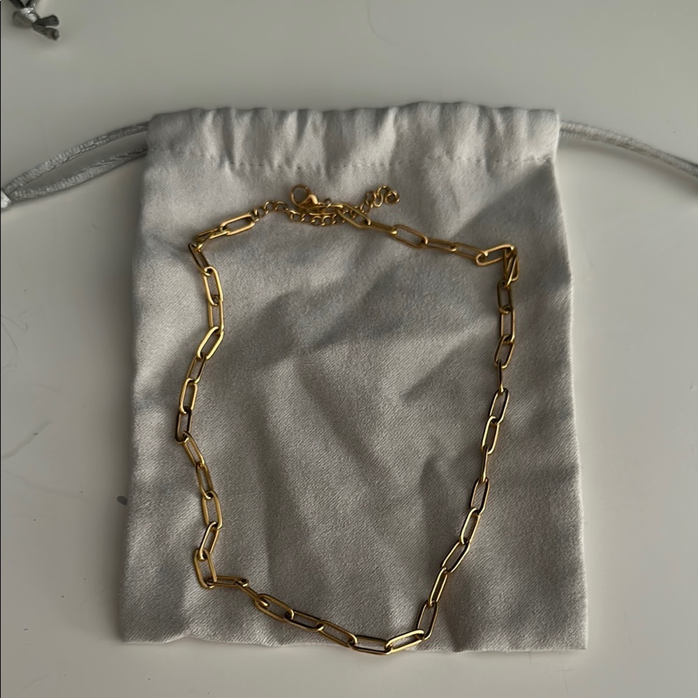 Francesca's Gold Chain Necklace